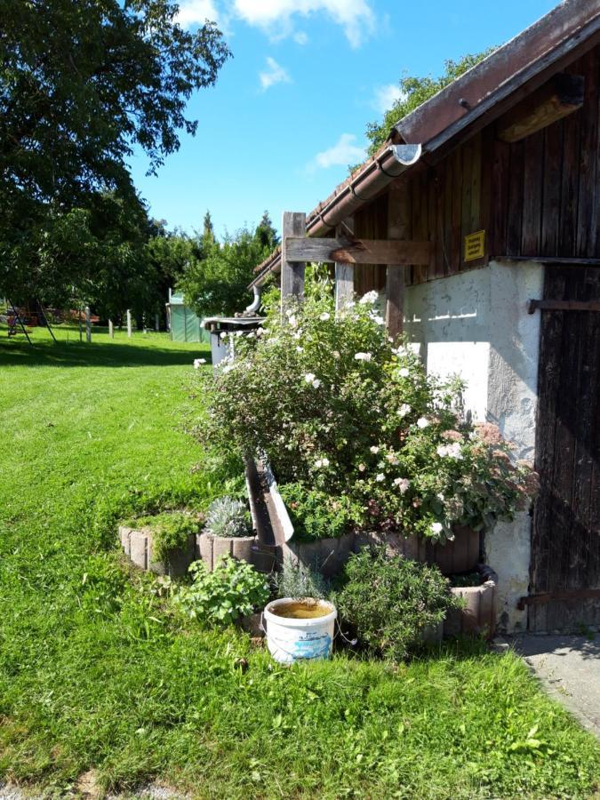 Ferienwohnung im Seidlerhof mit Balkon und Garten Röhrnbach Exterior foto