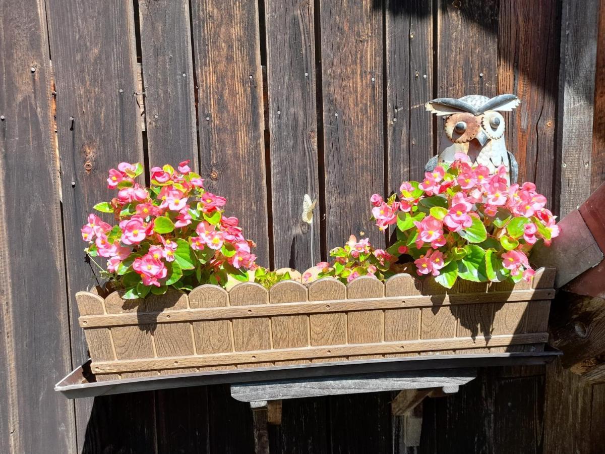 Ferienwohnung im Seidlerhof mit Balkon und Garten Röhrnbach Exterior foto